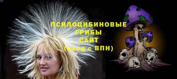 эйфоретик Алзамай